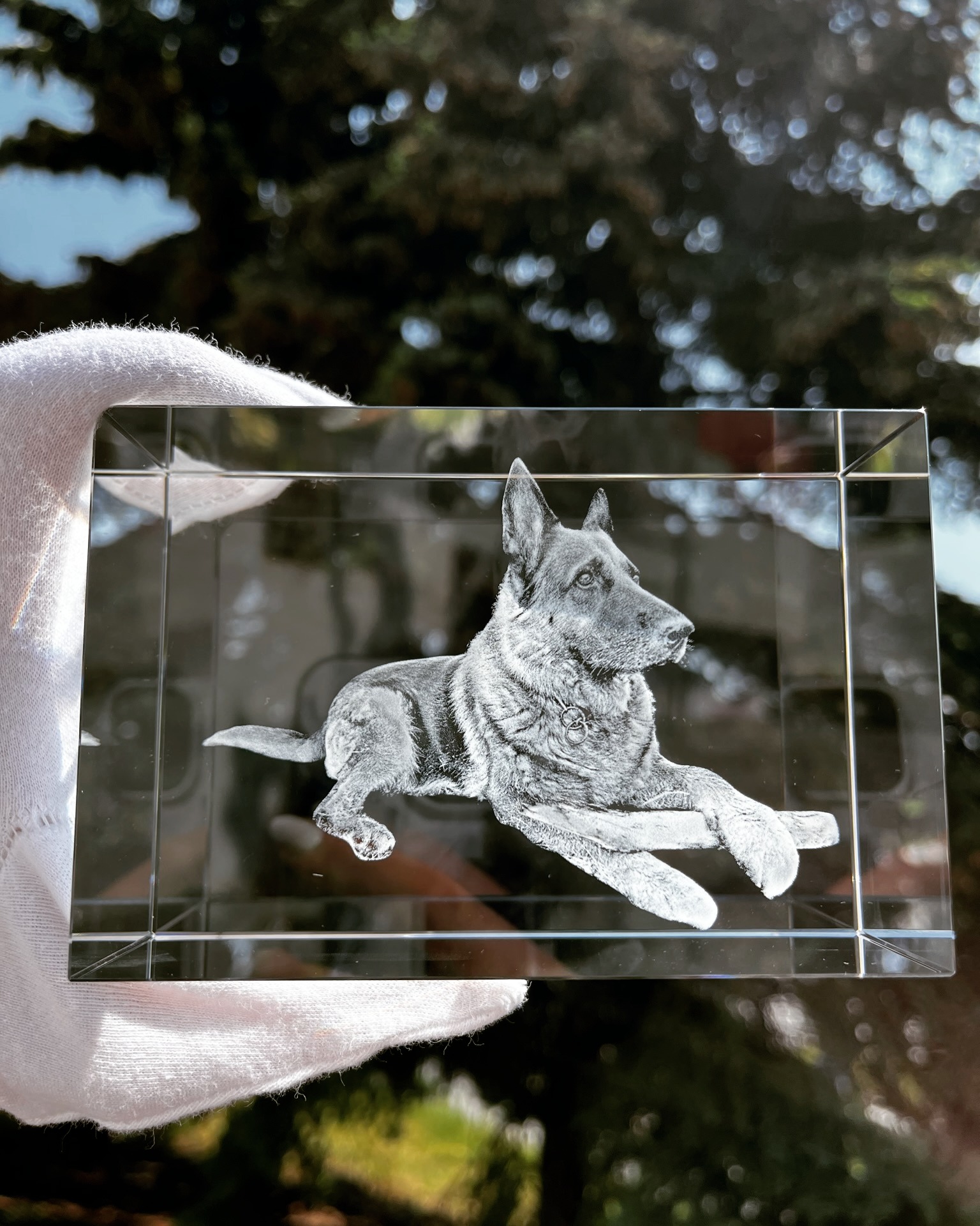 🐾Jedného dňa sa z fotografie stane spomienka.🐾
Práve preto vytvárame niečo viac než len darčeky.
Vytvárame príbehy zachytené v krištáli.
Príbehy o vernosti, láske a priateľstve, ktoré trvá celý život.
❤️ Pretože naši štvornohí priatelia si zaslúžia miesto nielen v našich srdciach, ale aj medzi našimi najvzácnejšími spomienkami.
💎 3D gravírovanie fotografií do krištáľu
📩 Objednávať si môžete u nás na stránke www.gravirovaniefotiek.sk